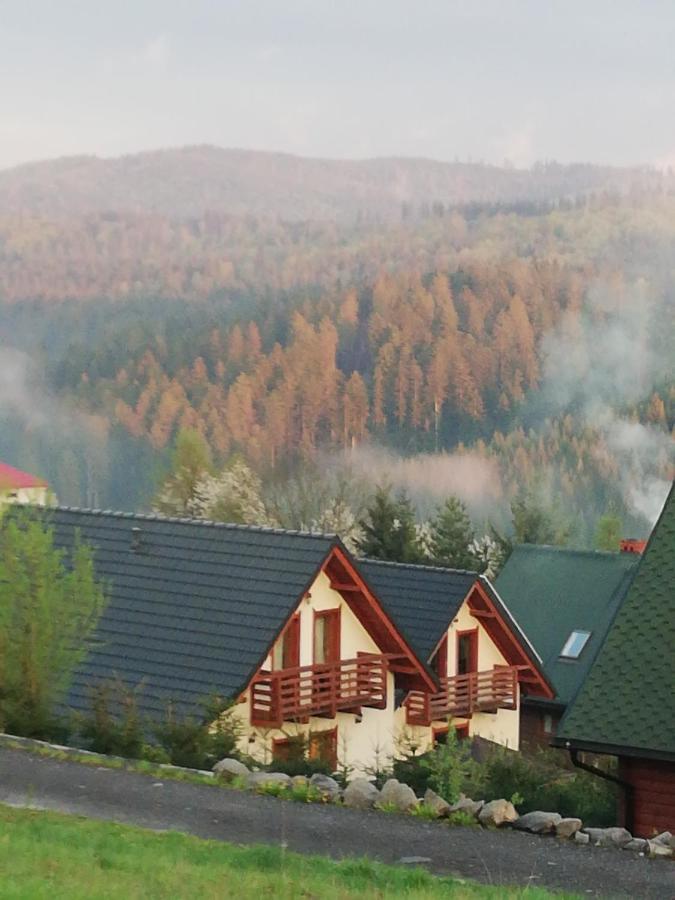 Domek U Malysza Istebna Dış mekan fotoğraf