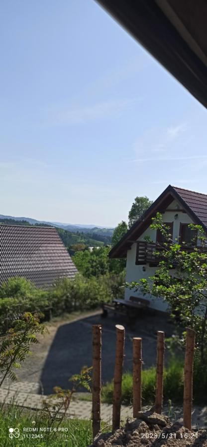 Domek U Malysza Istebna Dış mekan fotoğraf
