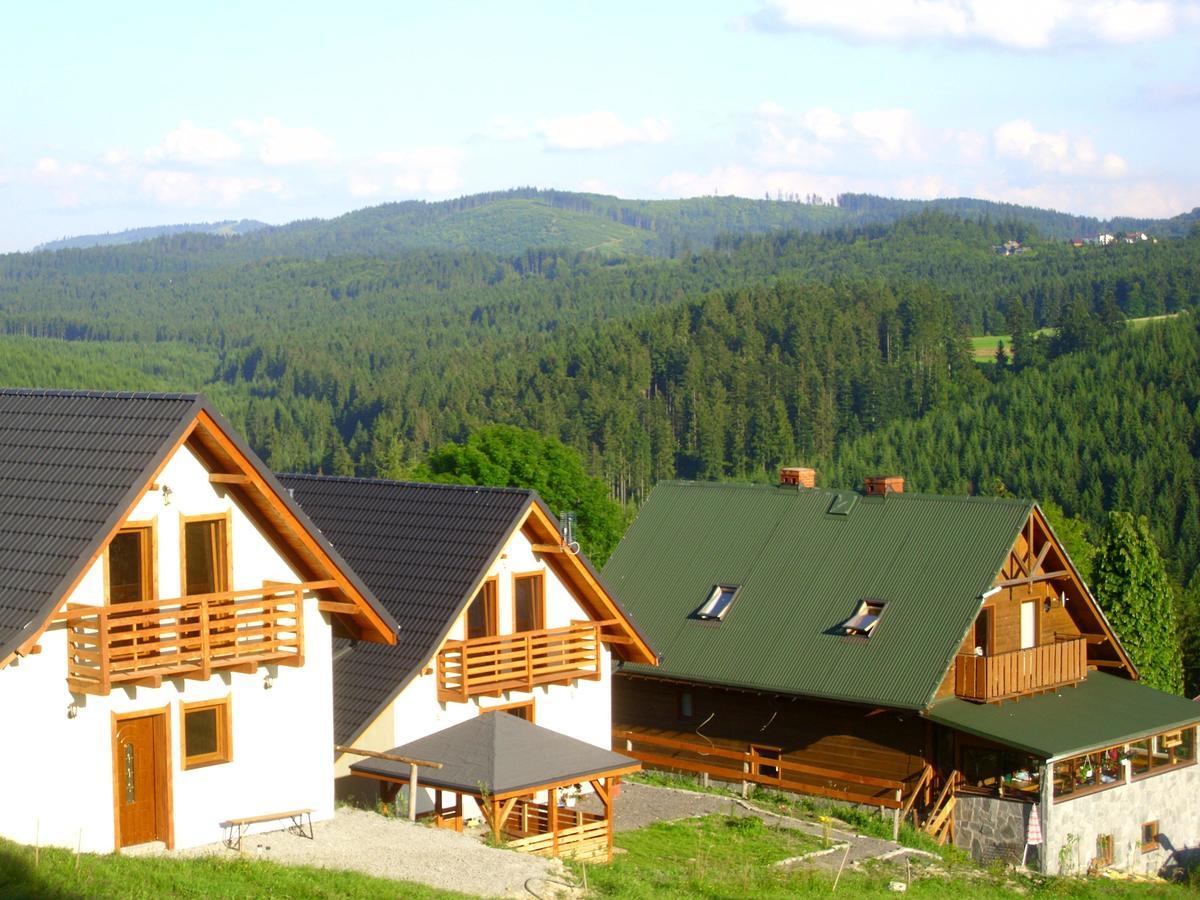 Domek U Malysza Istebna Dış mekan fotoğraf